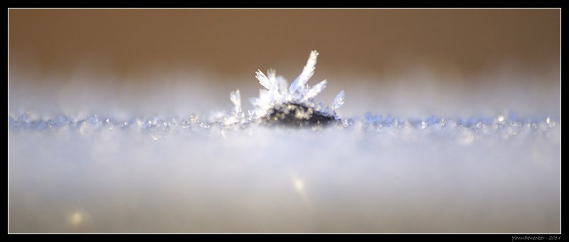 JG9C6533.CR2_filtered (Copier).jpg