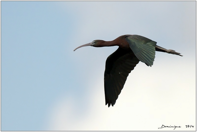 DSC_3840.jpg