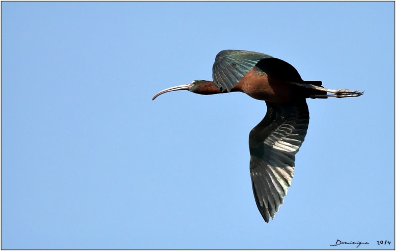 DSC_3866.jpg