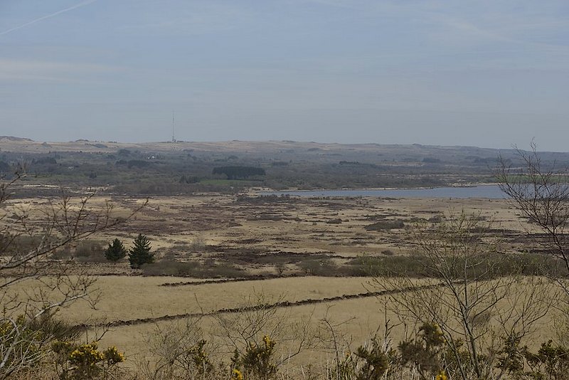 _IMG7087.jpg