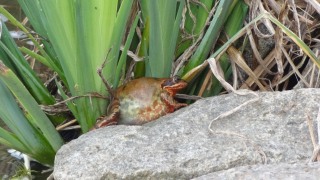 DSC02891.JPG