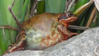 DSC02892.JPG