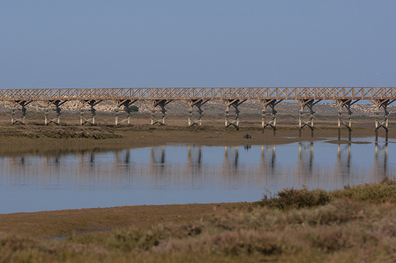2-Il suffit de passer le pont....jpg