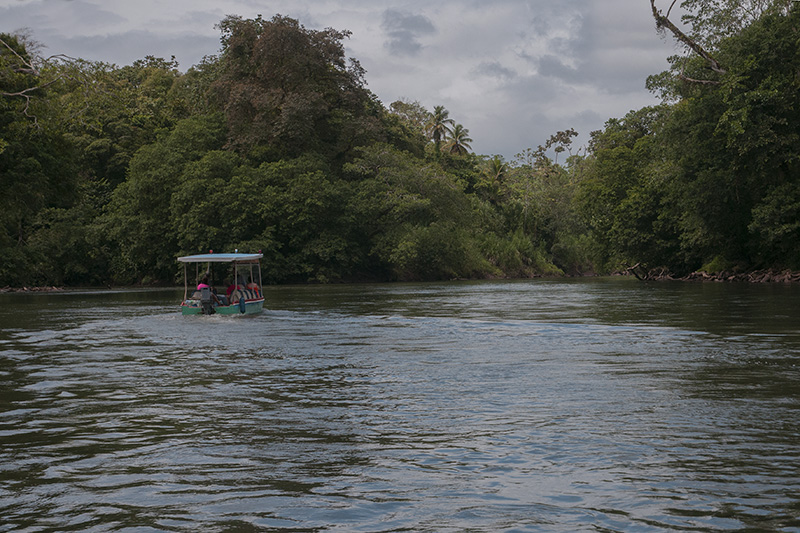 19-Rio Sarapiqui.jpg