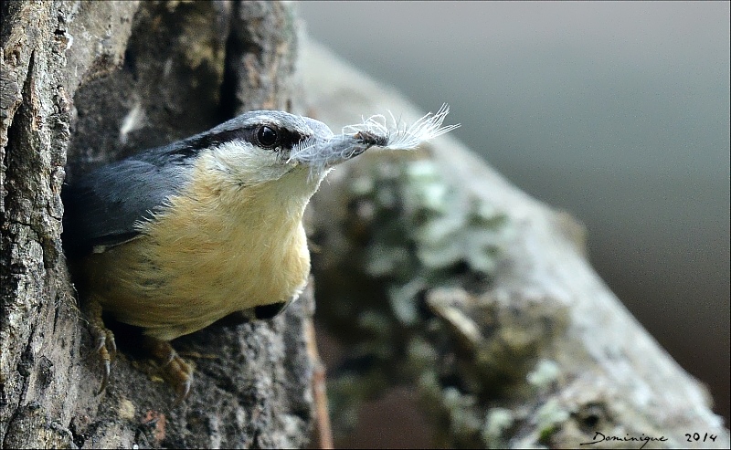DSC_5060.jpg