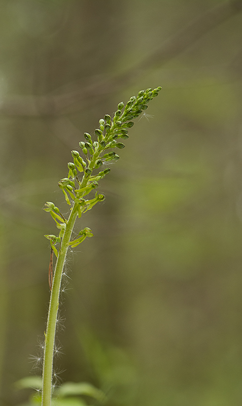 _DSC2644-Modifier_modifié-1.jpg