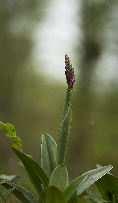 _DSC2638-Modifier_modifié-1.jpg