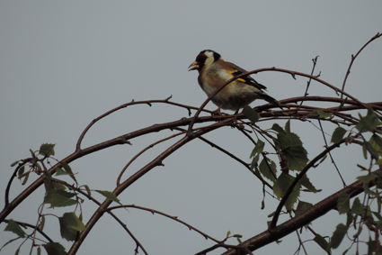 2014 04 21_0037 copie.jpg