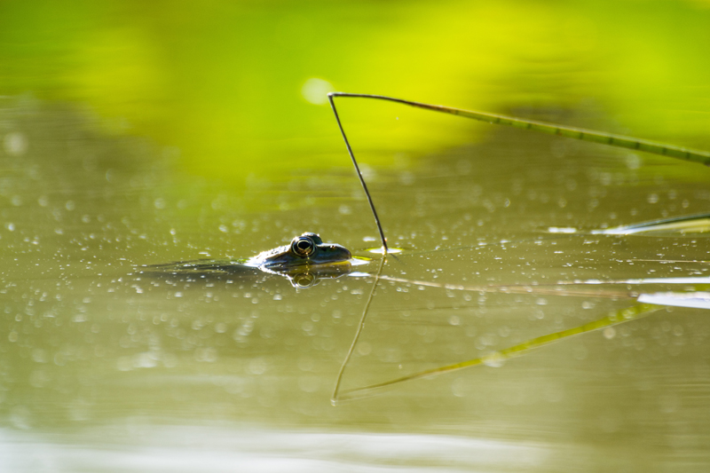 12082013-DSC_0014.JPG