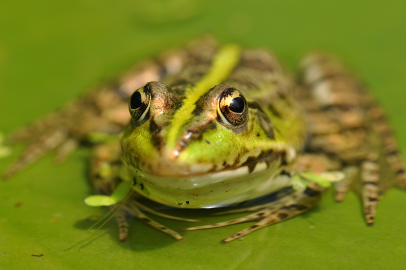 DSC_0678r.JPG