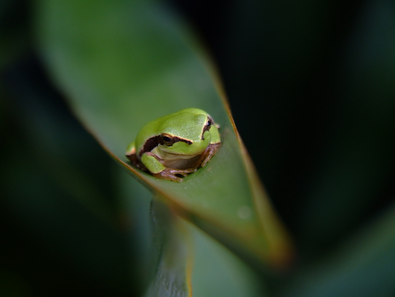 DSCF3656.jpg