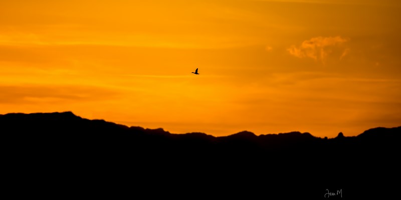 ED8A7287-2 (Copier).JPG