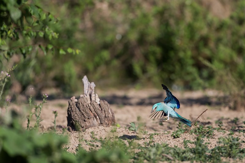 10052014-ED8A8180 (Copier).JPG