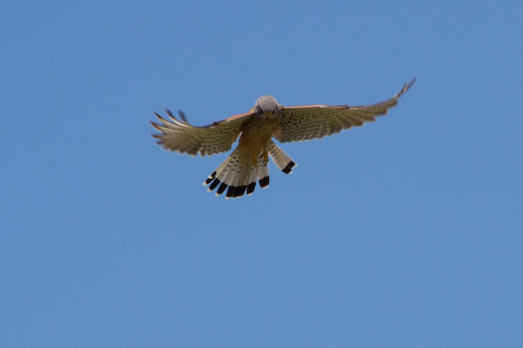 IMG_6389.jpg