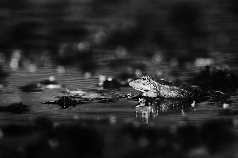 20140519141050-32dd3f1a.jpg