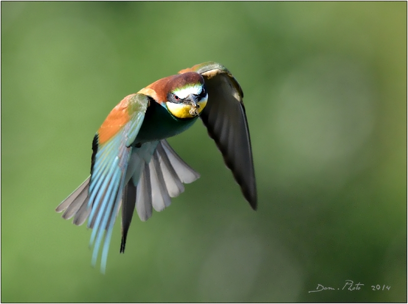 DSC_7642.jpg