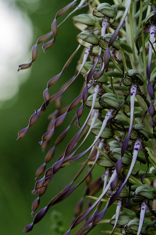 _DSC3480-Modifier_modifié-1.jpg