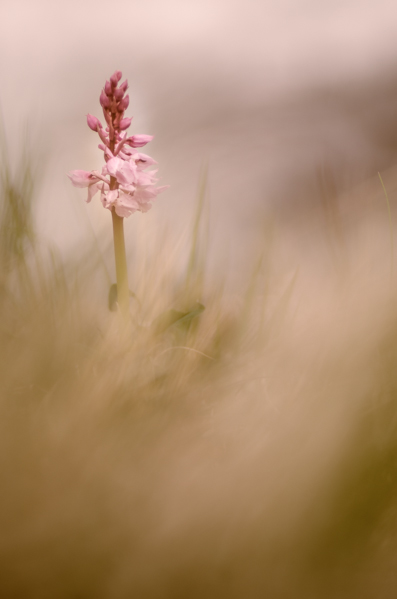 _DSC6049-Modifier-2.jpg