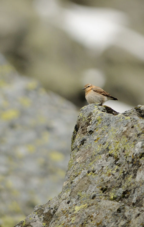 DSC_0846.jpg