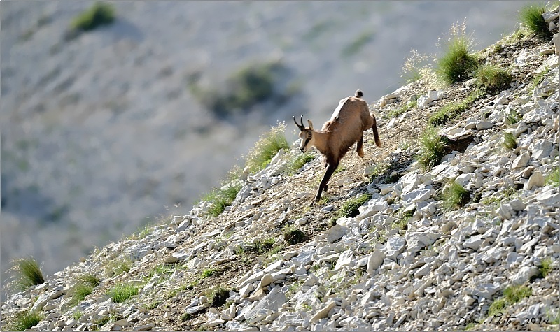 DSC_9689.JPG