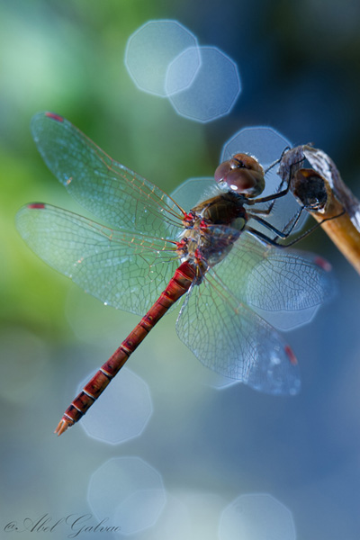 immage et nature1.jpg