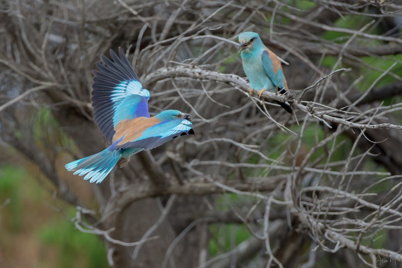 10052014-ED8A8802 (Copier).JPG