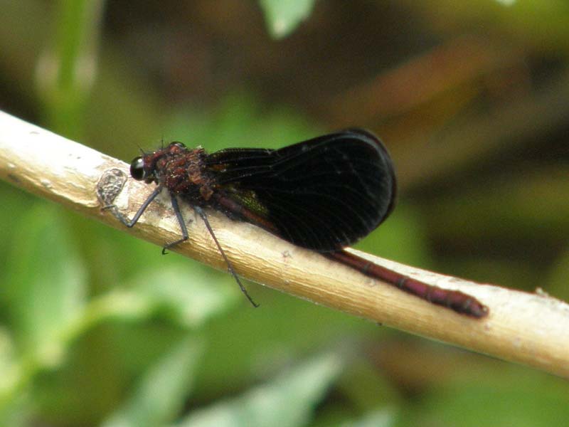 Photo3.jpg