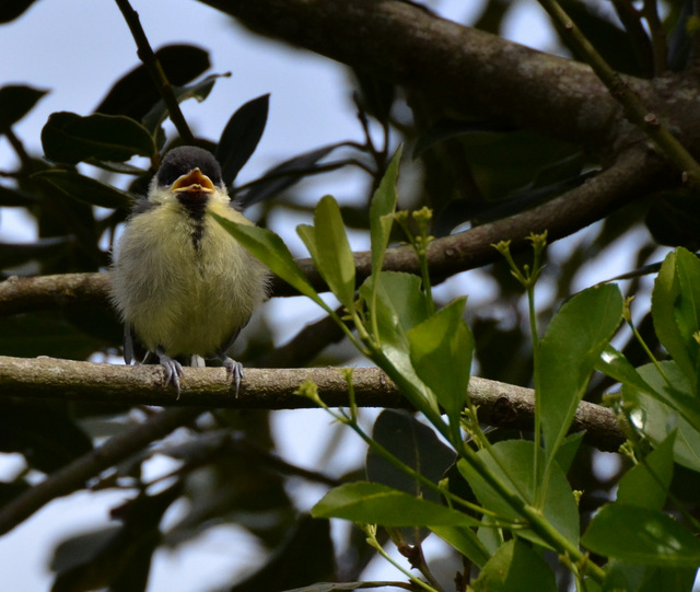 DSC_8754.JPG