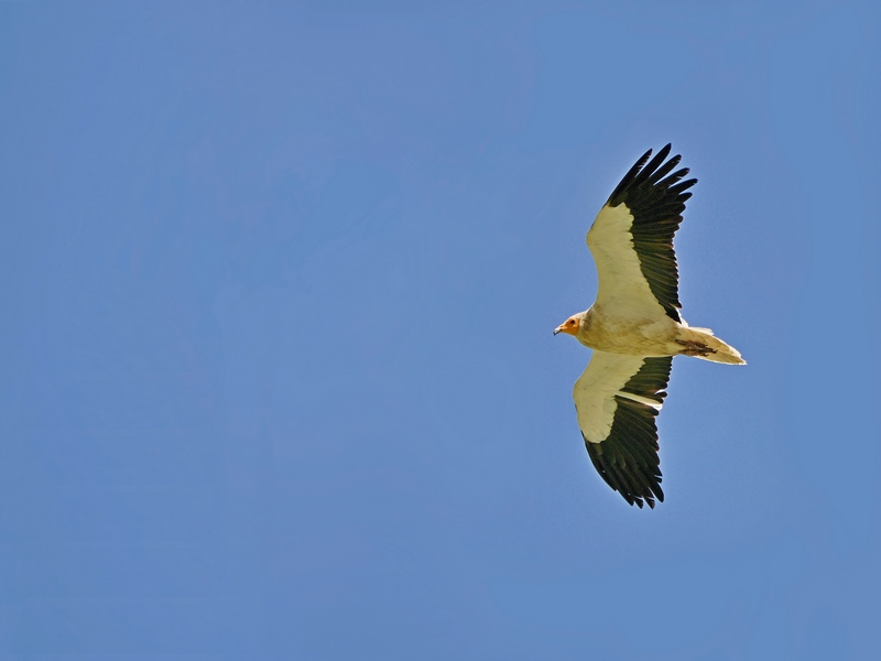 P1390001.JPG