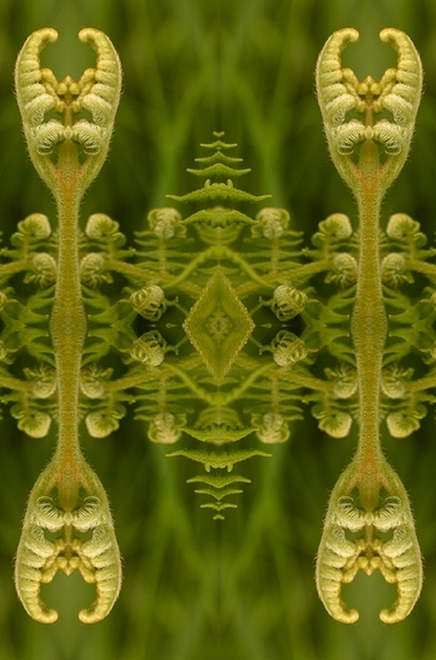 2.totem.JPG