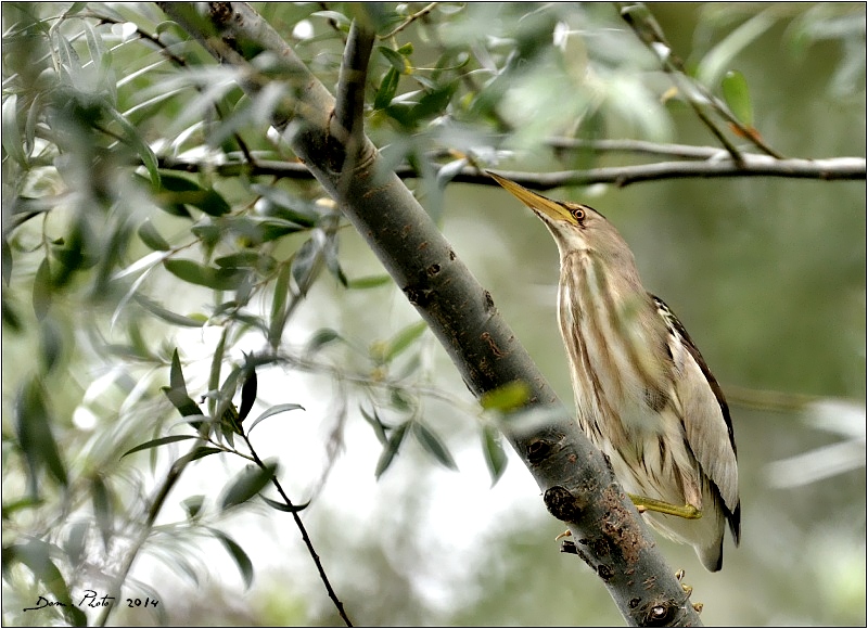 DSC_2902.jpg