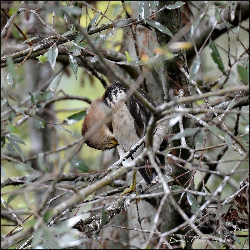 DSC_2969.jpg