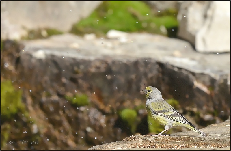 DSC_1133.JPG
