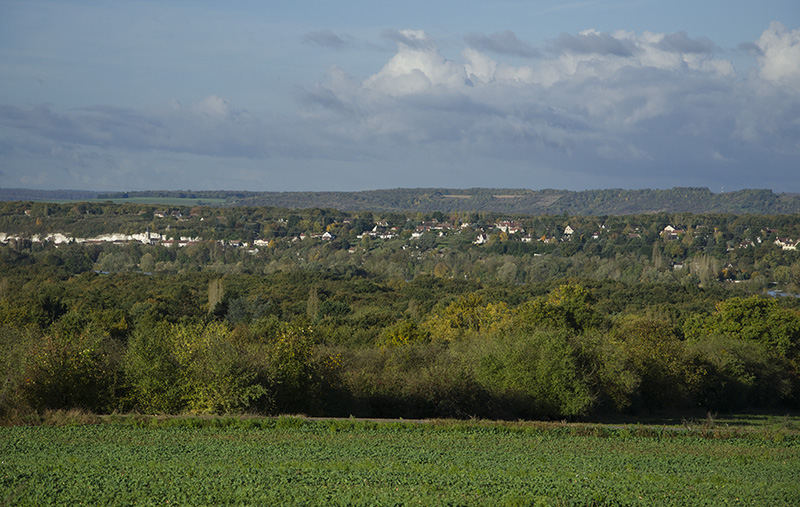 _DSC5205_modifié-2.jpg