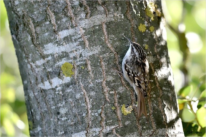DSC_3396.JPG