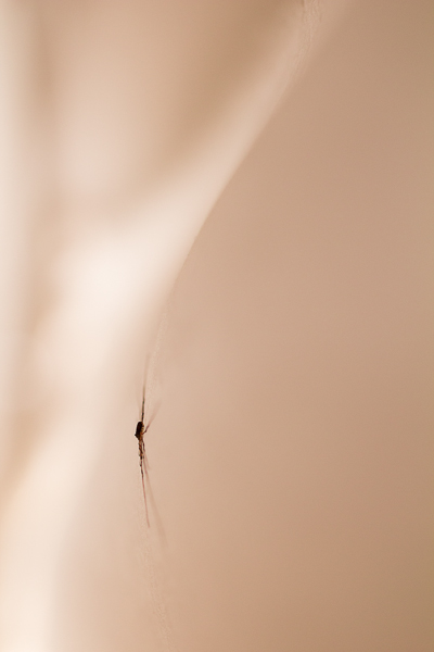 IMG_7029-1-1.jpg
