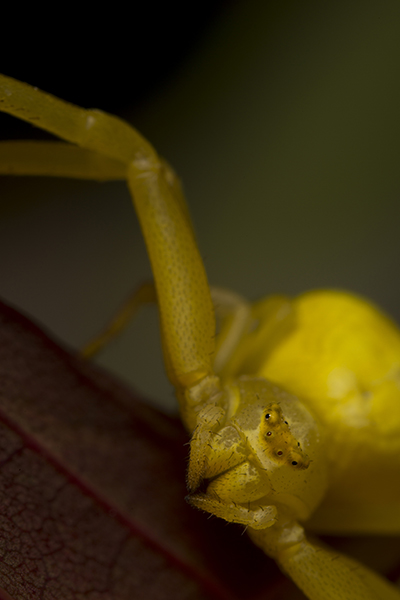 DSC_7056rr.jpg