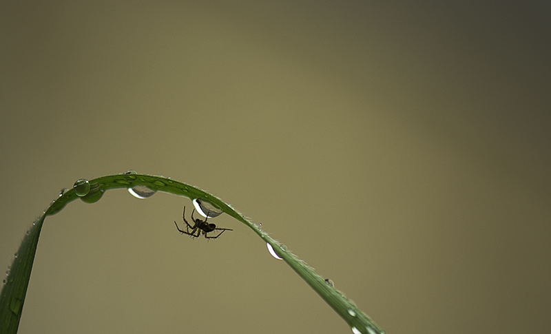 _DSC4830-Modifier_modifié-2.jpg