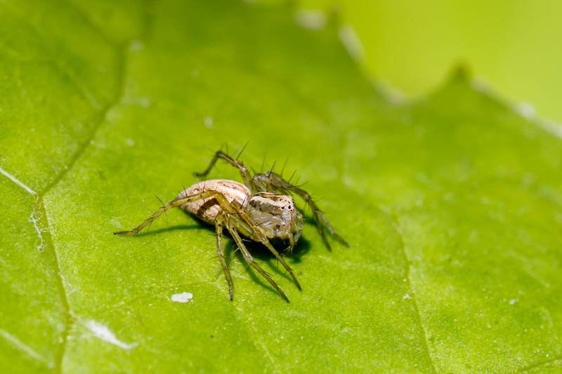 20140611Frankrijk-18-2.jpg