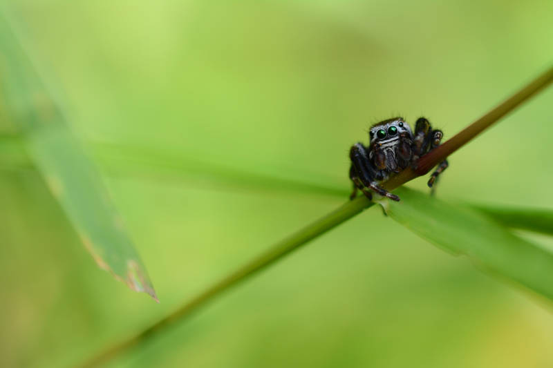 DSC_1354b.jpg
