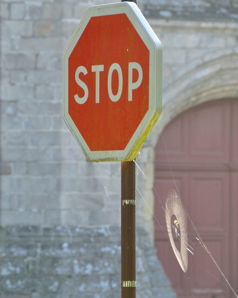 STOP.jpg