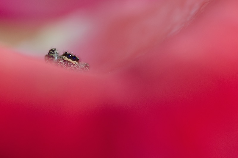 _DSC0373séance2.jpg