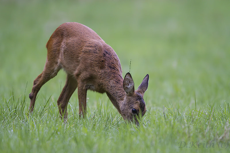mommenheim_09-07-2014-08-19-43_0709.jpg