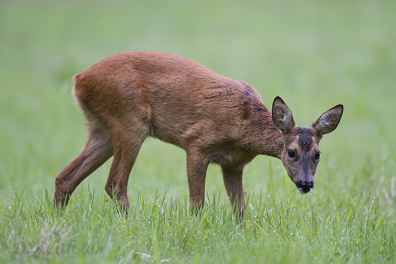 mommenheim_09-07-2014-08-19-53_0713.jpg