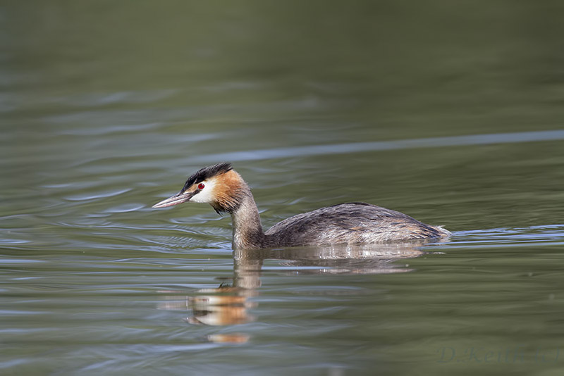 ecluzelles_16-08-2014-10-19-22_0261.jpg