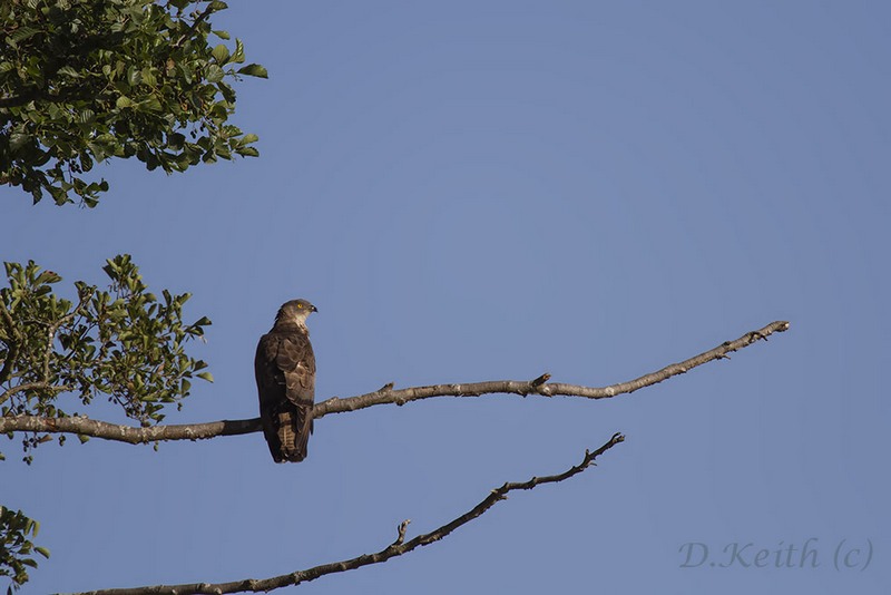 ecluzelles_19-08-2014-09-25-48_0707.jpg