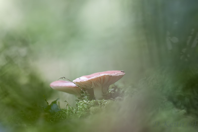 montecot_24-09-2014-14-16-57_0050.jpg