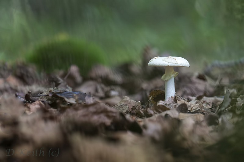 montecot_01-10-2014-14-49-30_0112.jpg