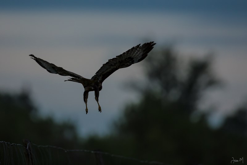 09082014-ED8A8588 (Copier).JPG