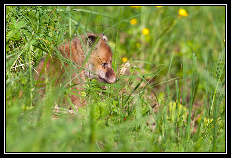 DSC07021-lr.jpg